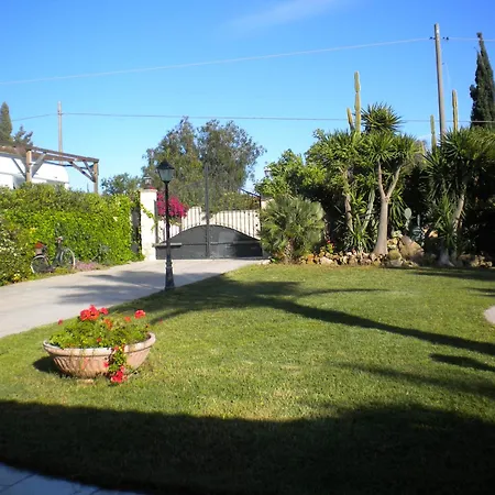 Orchidea -san Lorenzo - *