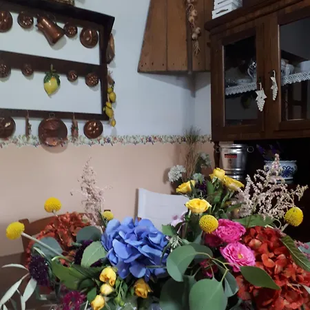 Villa Orchidea -san Lorenzo -