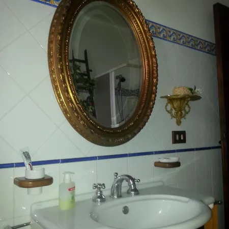 Orchidea -san Lorenzo -