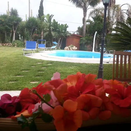 Orchidea -san Lorenzo - *
