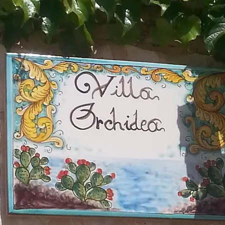 Orchidea -san Lorenzo -