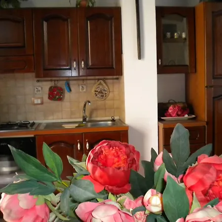 ヴィラ Orchidea -san Lorenzo -