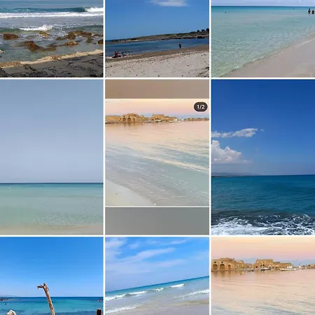 Orchidea -san Lorenzo - ヴィラ マルツァメミ