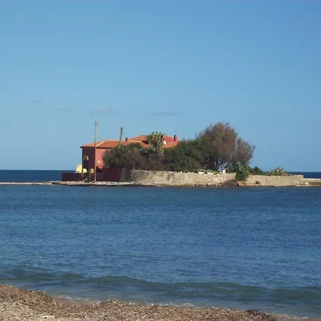 Orchidea -san Lorenzo -