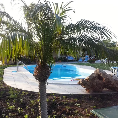 Orchidea -san Lorenzo - マルツァメミ