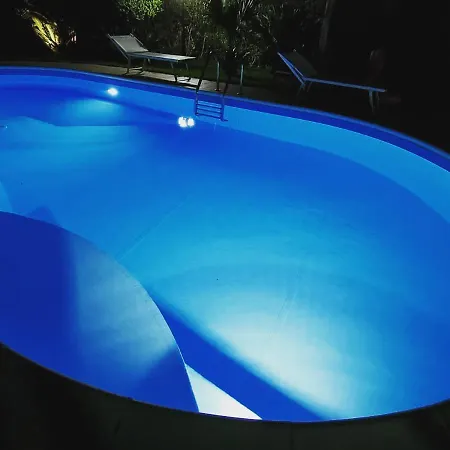 Orchidea -san Lorenzo - *