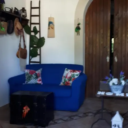 Orchidea -san Lorenzo - マルツァメミ