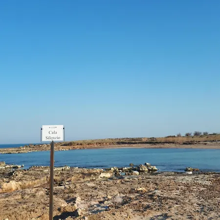 Orchidea -san Lorenzo - *